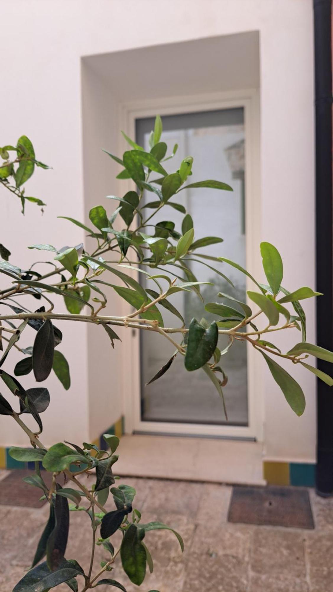 B&B Garibaldi Alcamo Exteriér fotografie